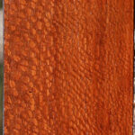 Figured Leopardwood Lumber
