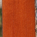 Figured Leopardwood Lumber