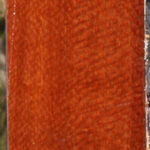 Extra Fancy Leopardwood Lumber