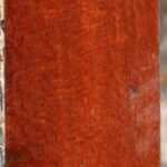 Extra Fancy Leopardwood Lumber