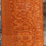 Extra Fancy Leopardwood Lumber