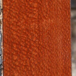 Extra Fancy Leopardwood Lumber