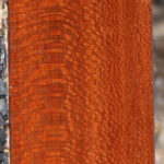 Extra Fancy Leopardwood Lumber