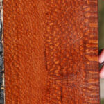 Extra Fancy Leopardwood Lumber