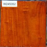 Pernambuco Bowl Blank