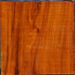 Pernambuco Bowl Blank