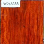 Extra Fancy Pernambuco Bowl Blank