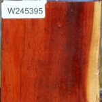 Pernambuco Bowl Blank