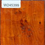 Pernambuco Bowl Blank