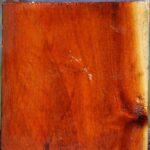 Pernambuco Bowl Blank