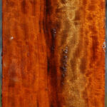 Extra Fancy Pernambuco Peppermill