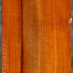 Pernambuco Peppermill