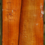 Pernambuco Peppermill