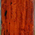 Extra Fancy Pernambuco Peppermill