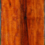 Extra Fancy Pernambuco Peppermill