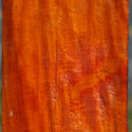 Figured Pernambuco Peppermill