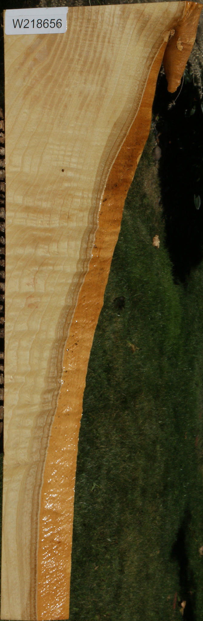 218656_1_bfdfe82c-8ff8-4f9f-b893-6447ded5ba1c 14622226841971