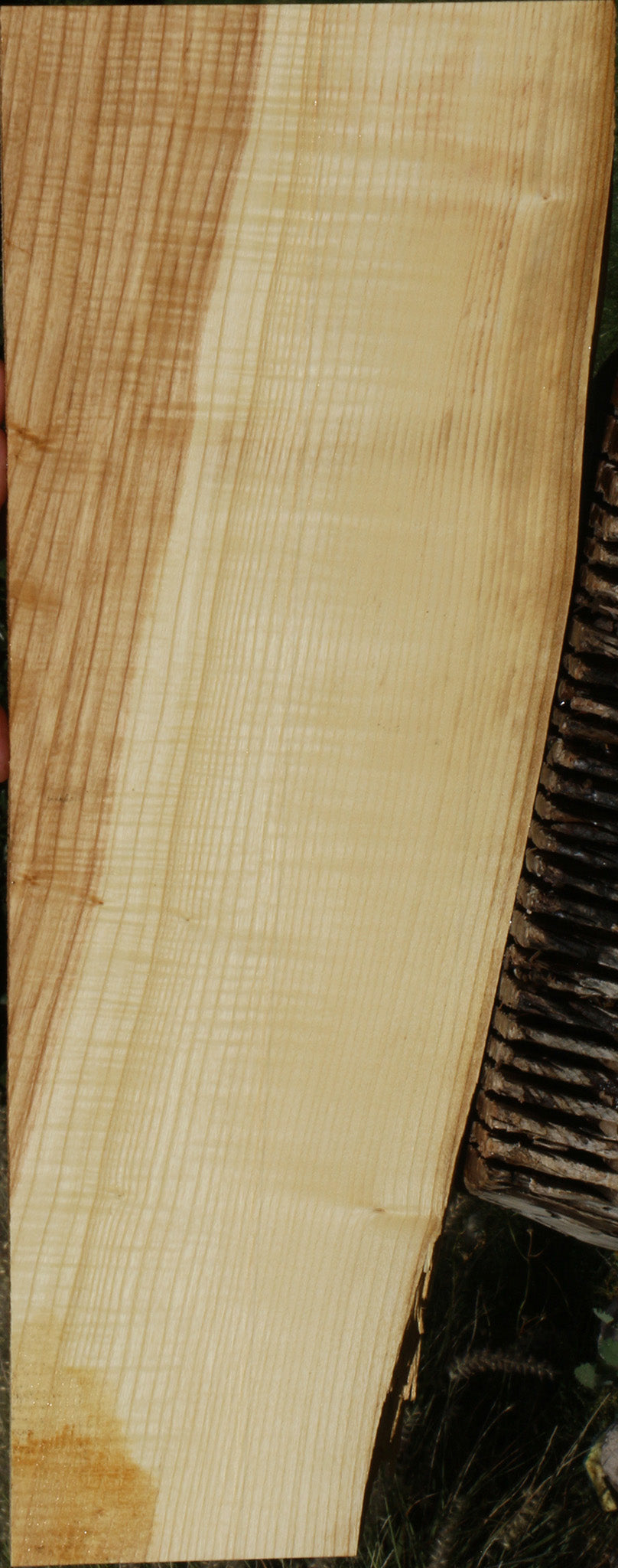 218658_1_62958ca8-af99-49c2-8dbf-d745dca64d32 14622226973043