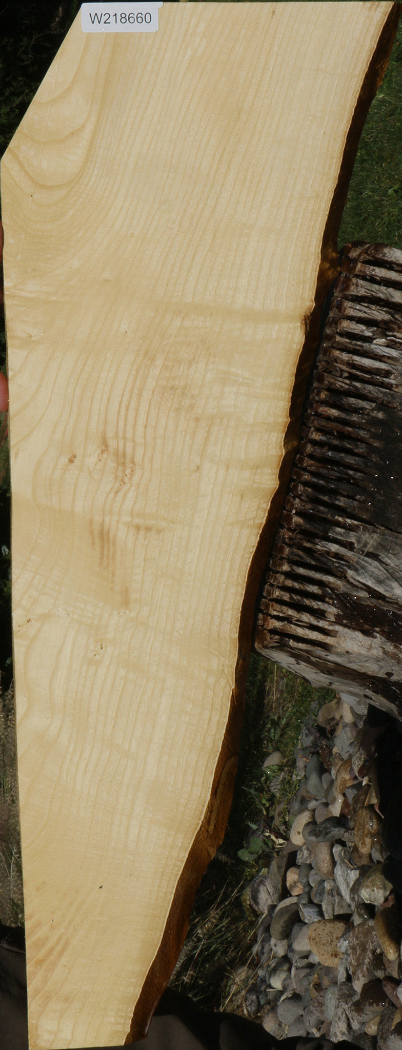 218660_1_3ee00abc-cc43-4c75-b6fb-72425c46428a 14622227169651