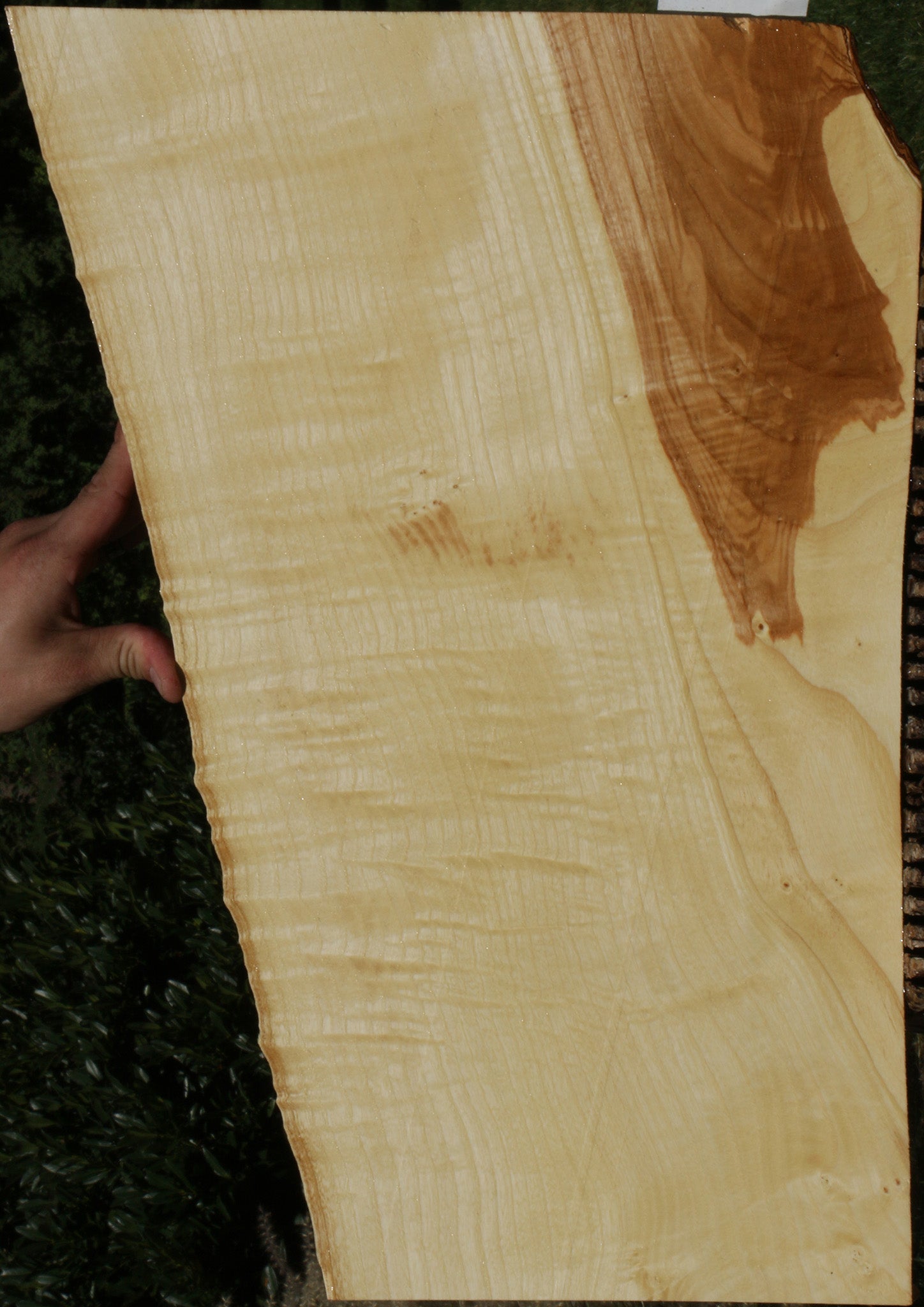 218662_1_48d7bd06-3c77-4a79-b099-af5f142b92ce 14622227333491