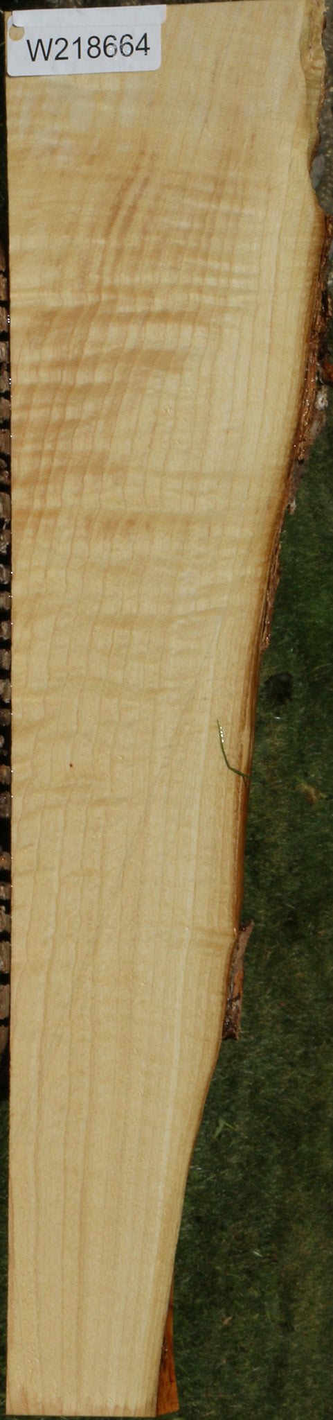 218664_1_5314df0a-69f0-4f06-ae9f-9fbed8a4fe60 14622227530099