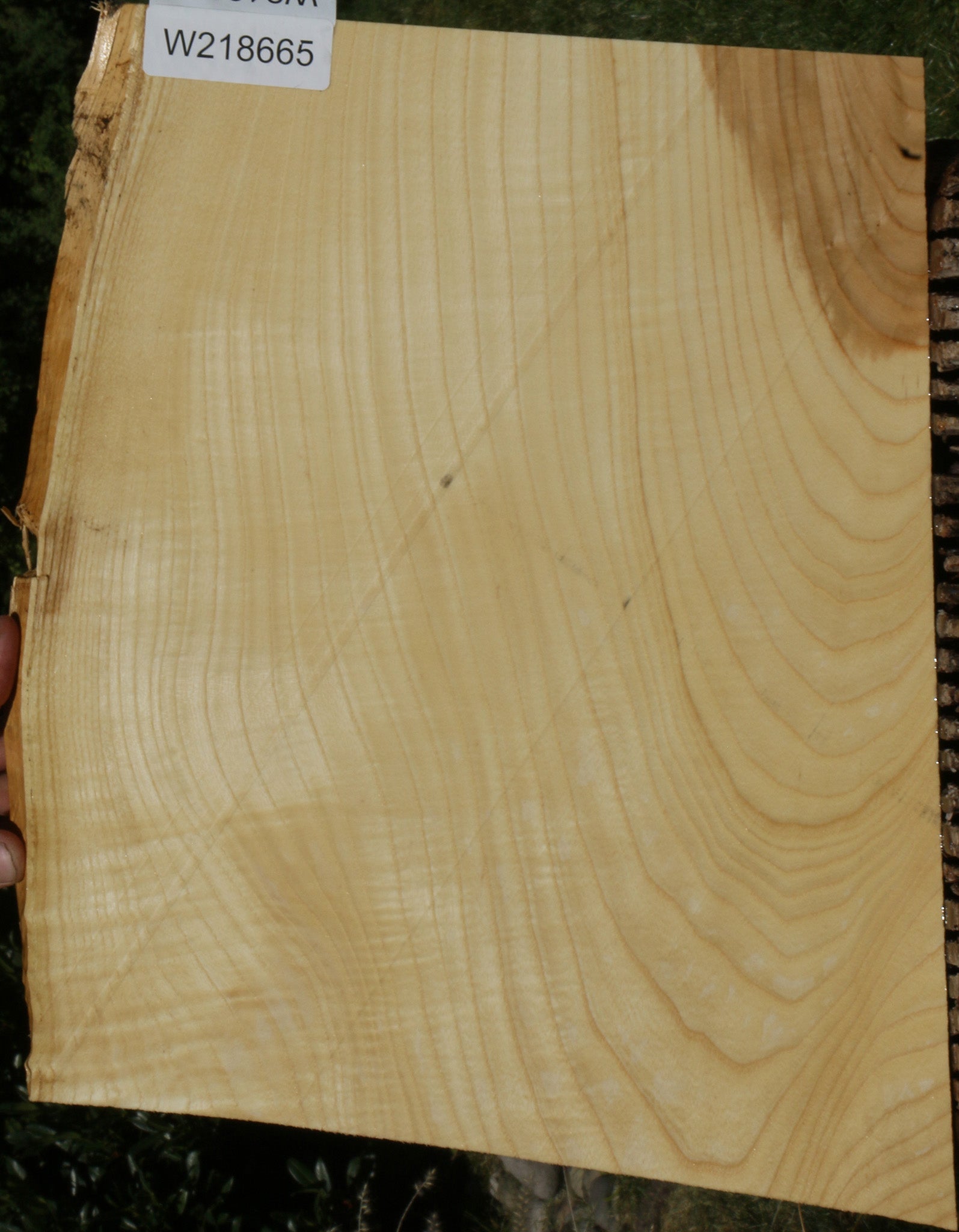 218665_1_6cd94282-4edf-4c42-bf10-f2d2b96dffeb 14622227628403