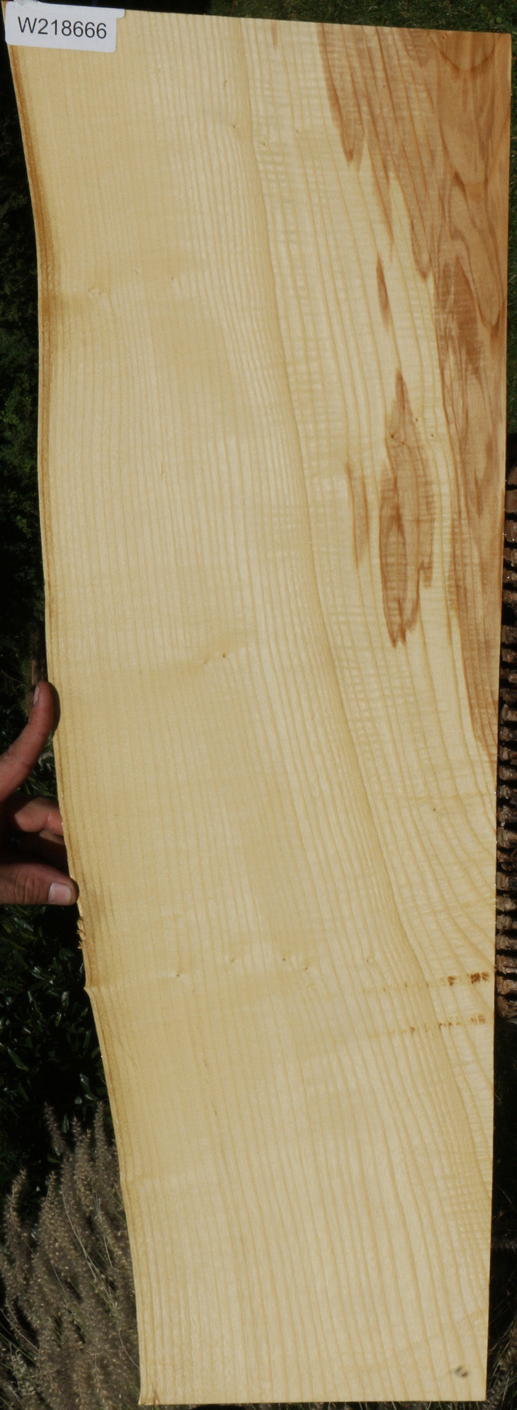 218666_1_c512a26c-dfe2-4be2-b97b-d68b08866871 14622227726707