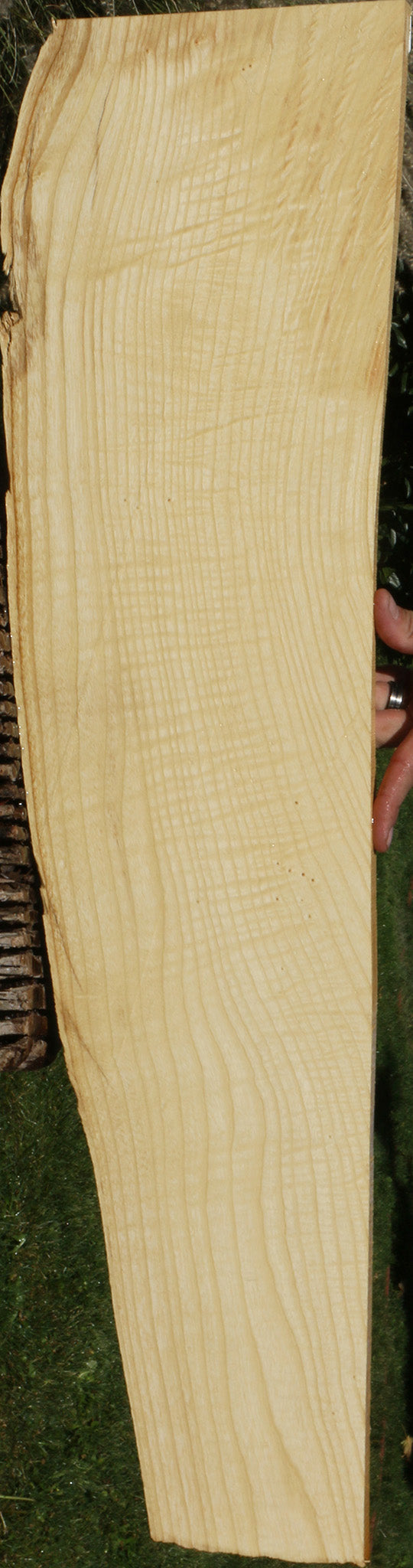 218677_1_5321d652-0faf-4ba2-89a8-be00ae8cec55 14622228742515