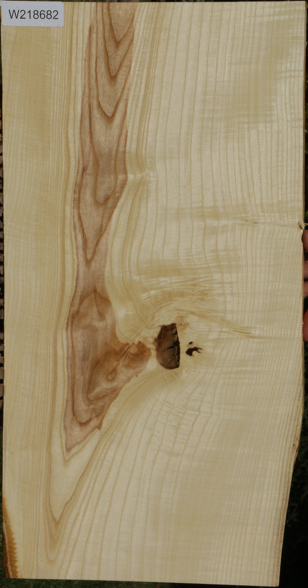 218682_1_1f093c72-8618-4628-8dcd-15fa731da47e 14622229168499