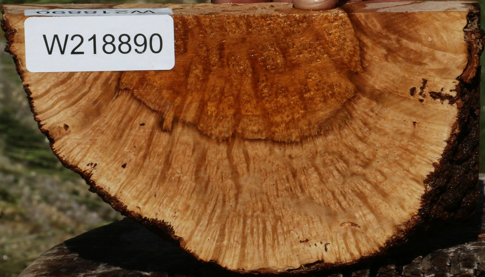 218890_1_d3568822-3911-448d-8069-9e0b80b9344f 14622512873843