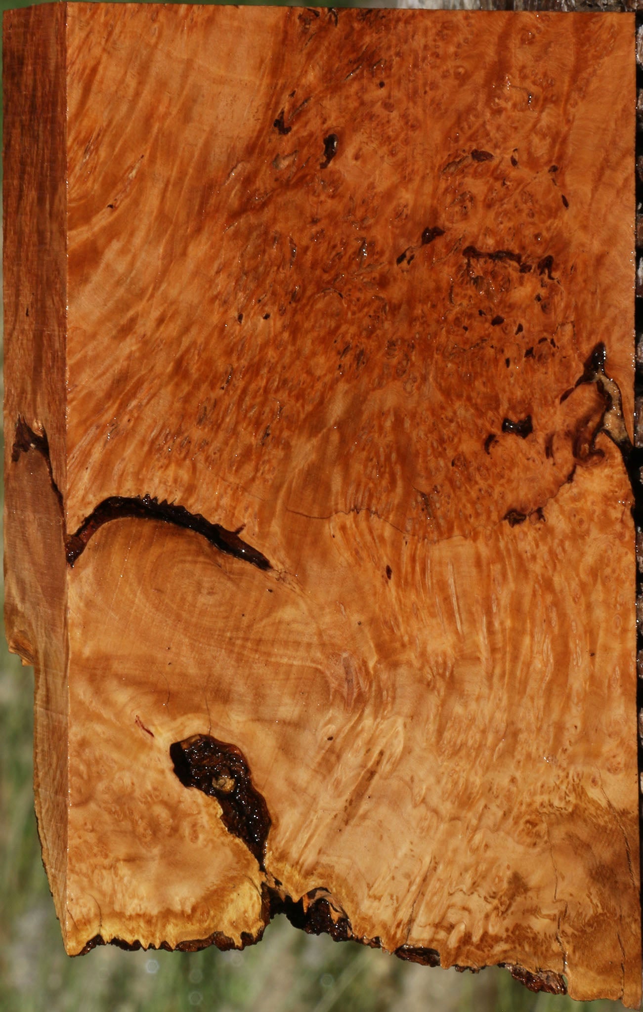 218891_1_97a42e61-258f-49c2-92d5-4b41b36124d9 14622512972147