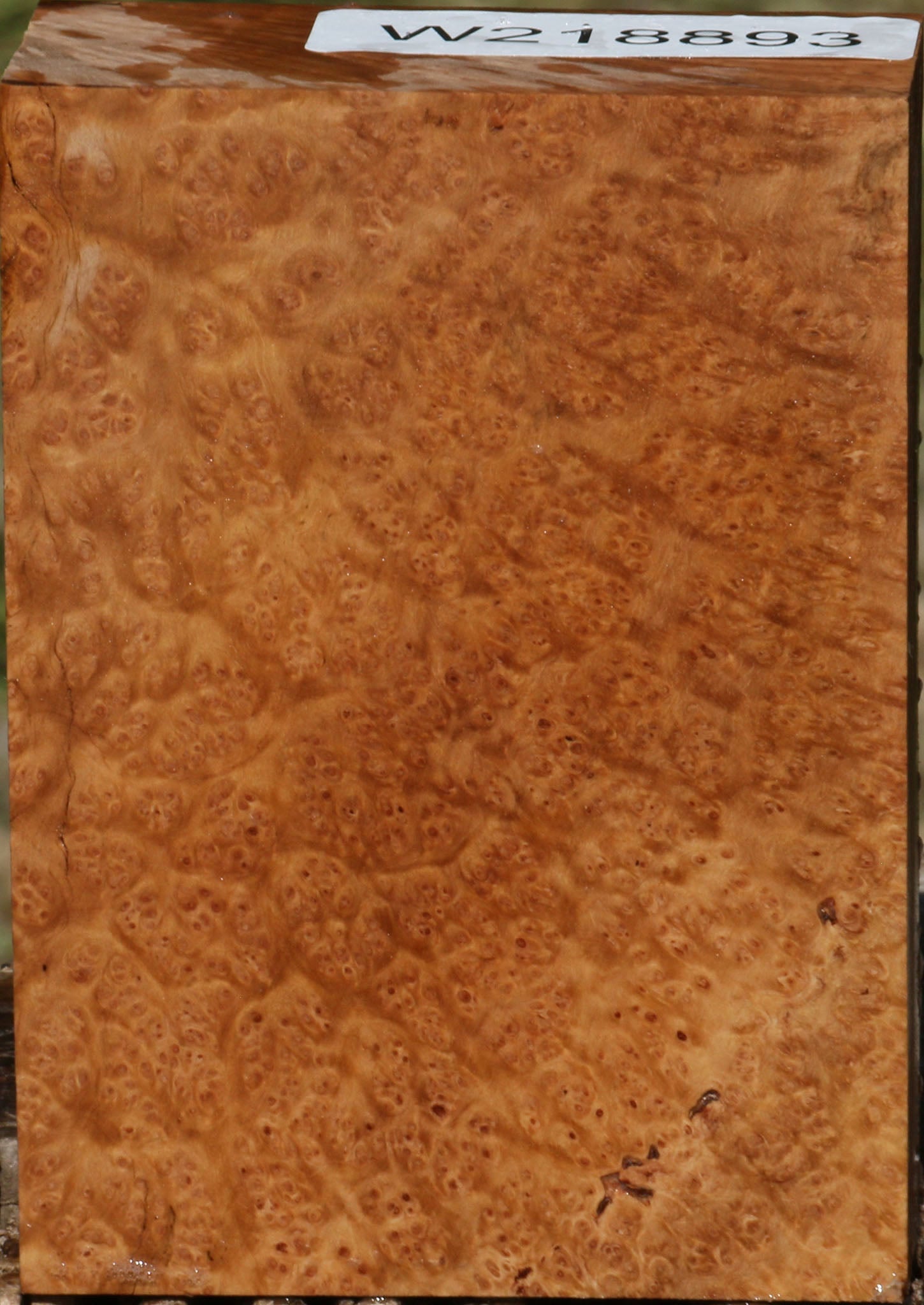 218893_1_ed999d8f-efd2-4128-8eb4-dcdcdc04edee 14622513103219