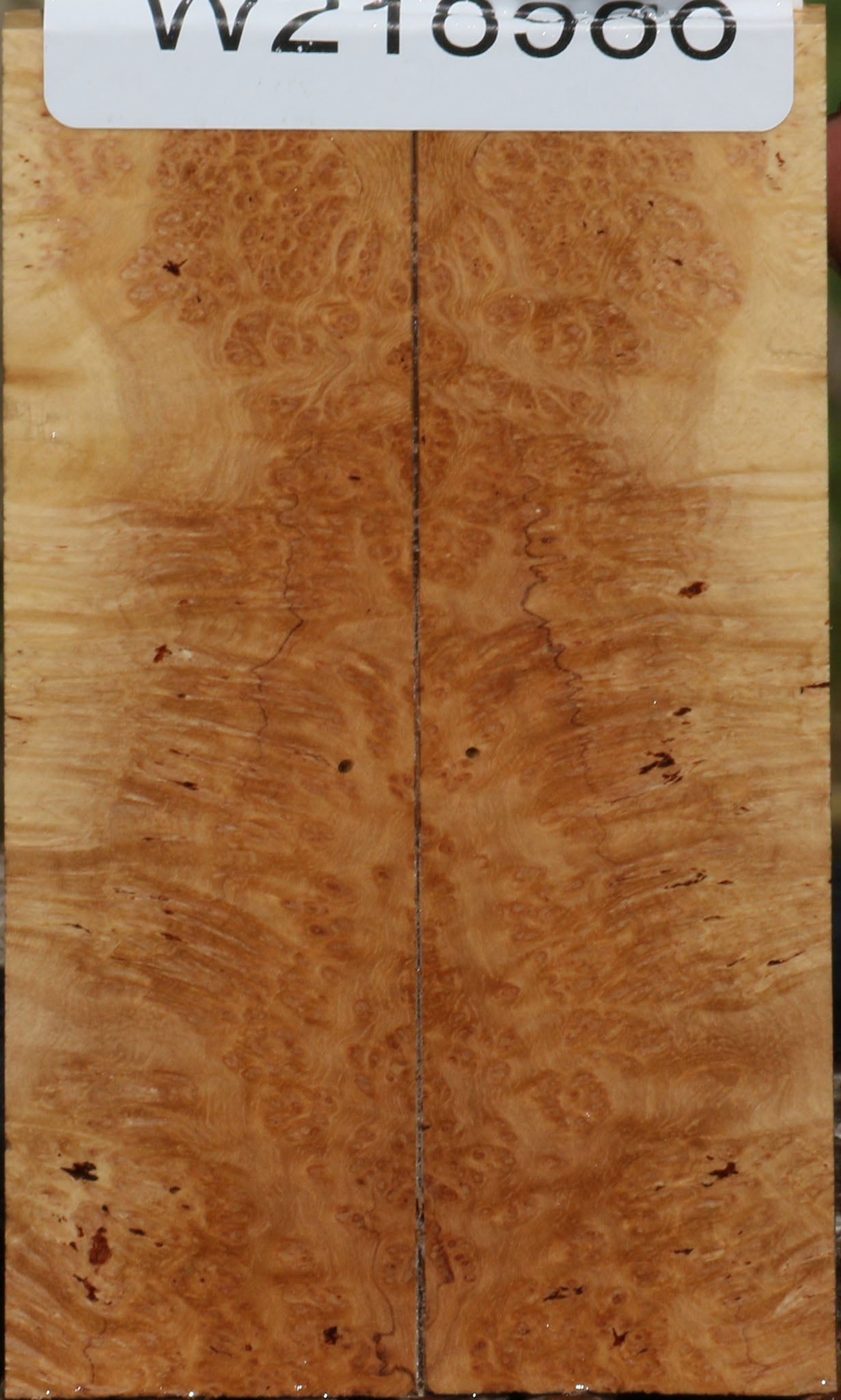 218986_1_b557ae0f-dd15-4b3b-be8e-6eaffb3f03dd 14622521229683