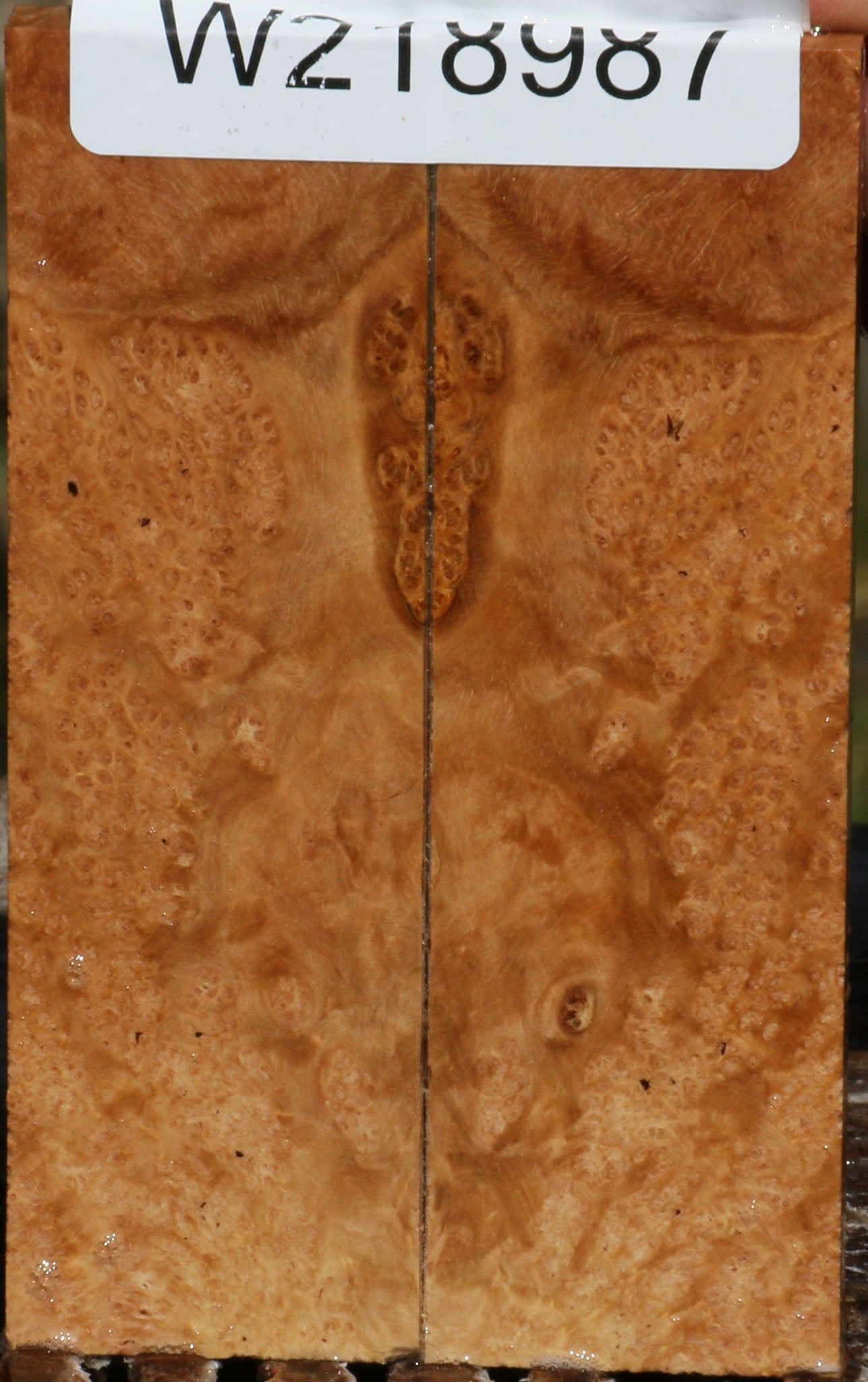 218987_1_fe3a0e23-8979-490d-a889-d622d883425f 14622521295219