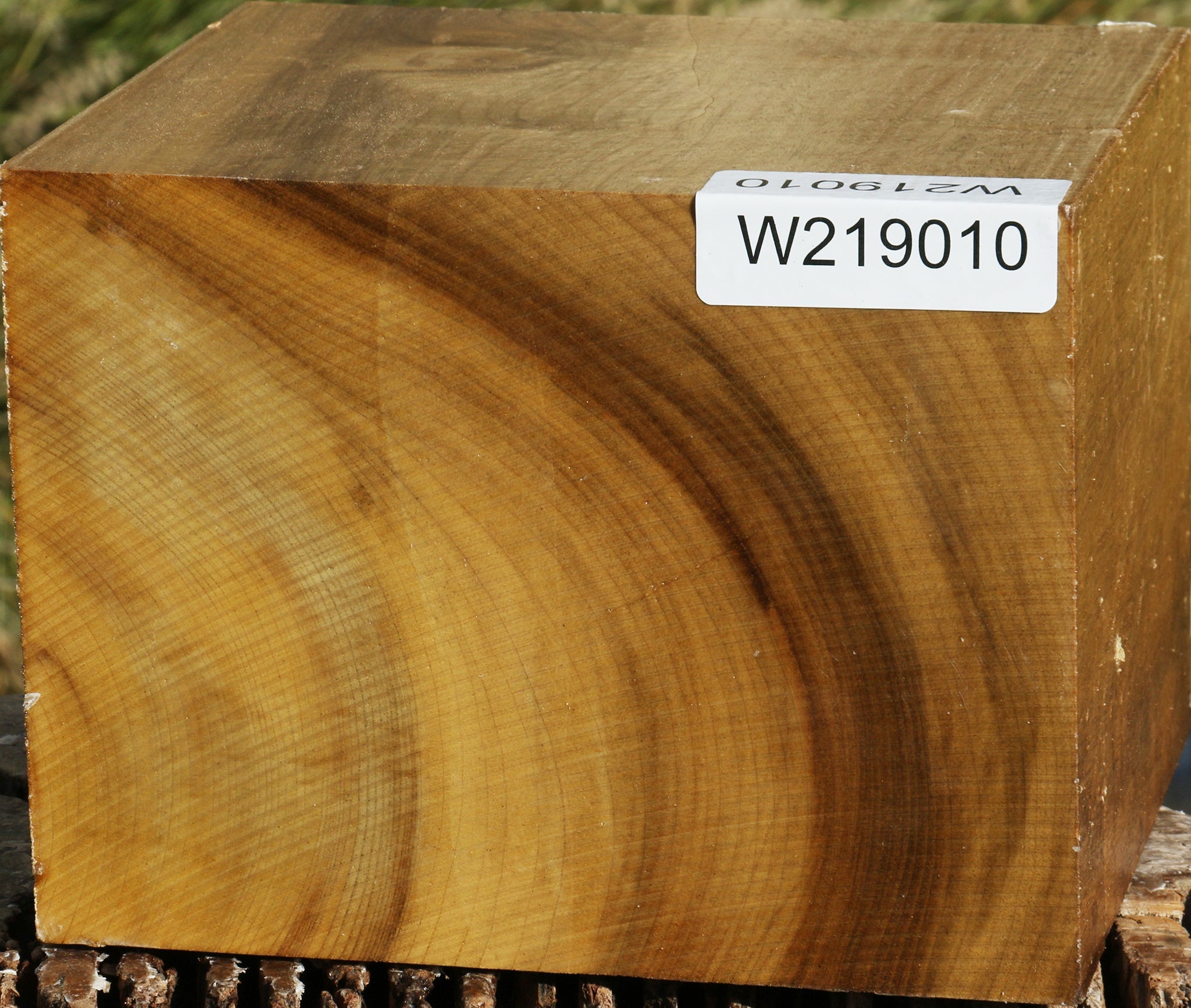 219010_1_6676ed8f-20a2-440b-9825-7cad22917b92 14794438345075