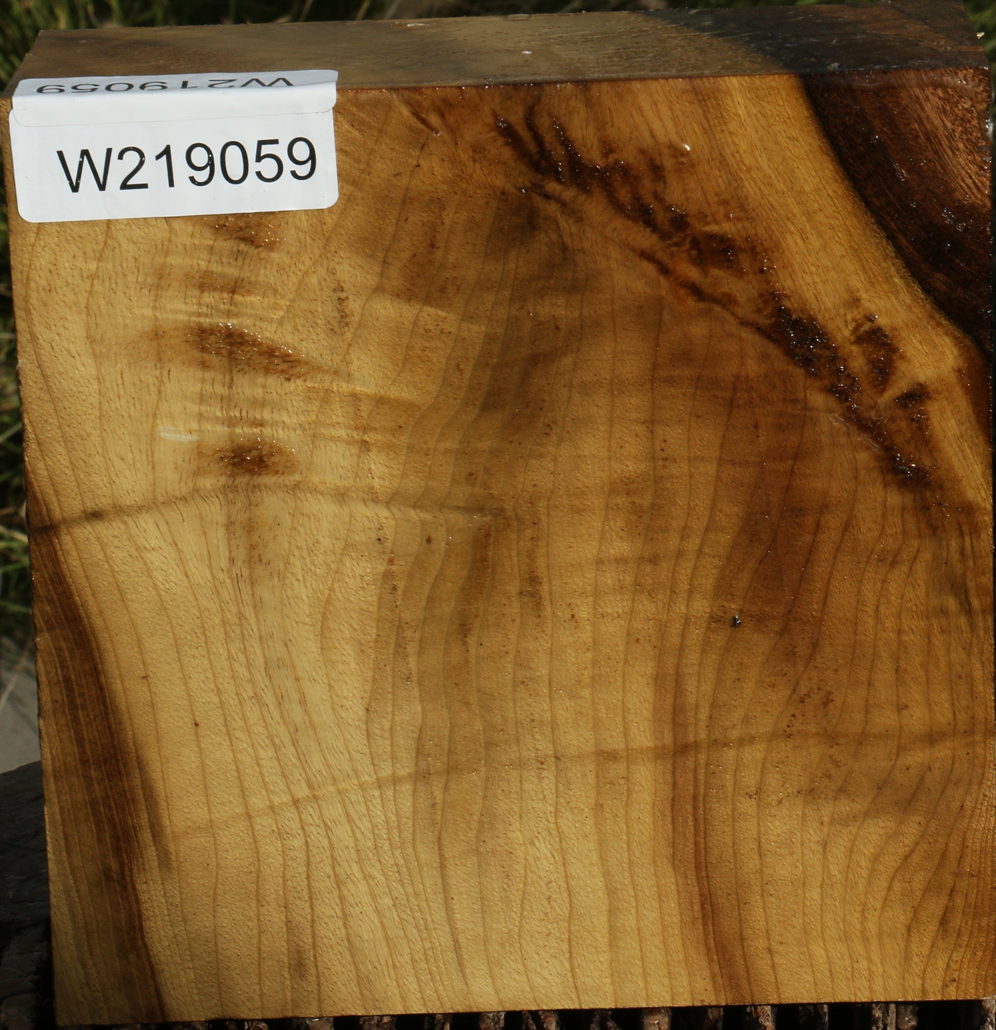 219059_1_5352d867-b480-4bc9-af56-3405842842c5 14794440147315