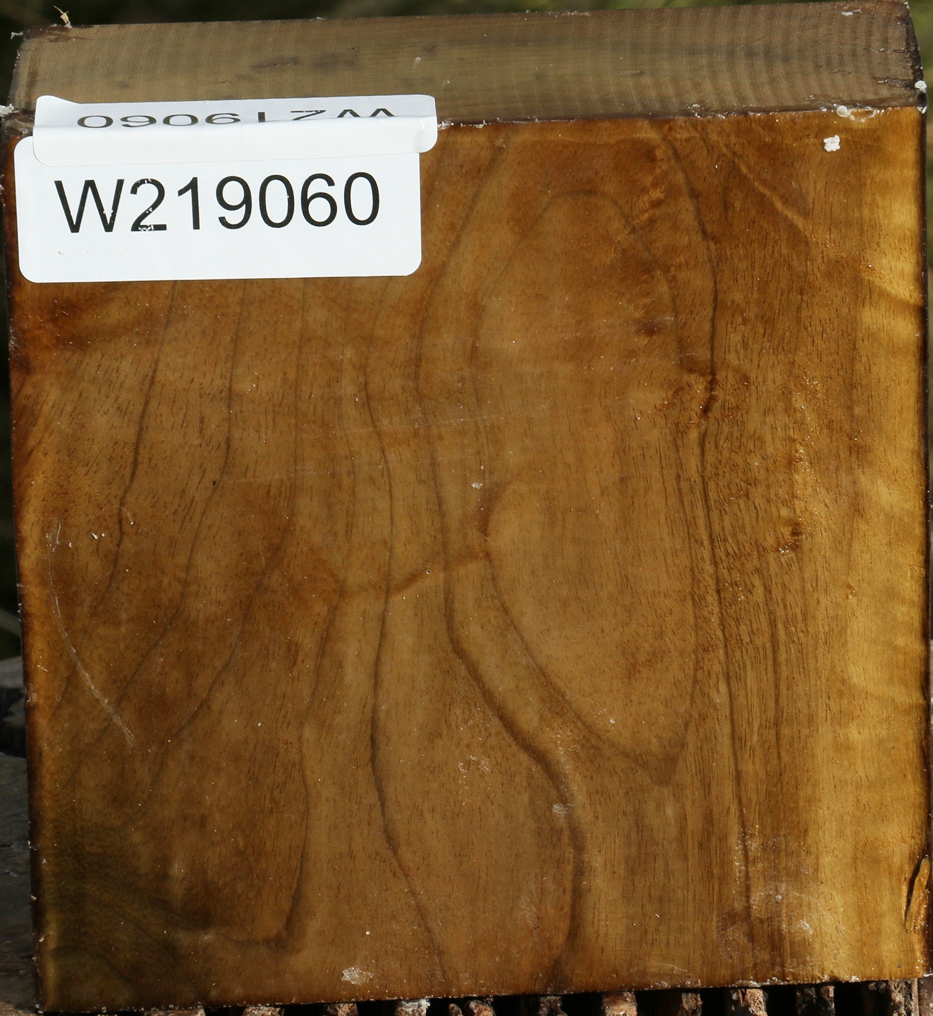 219060_1_1b0b4311-26c9-4135-8fbe-aaf07395bfcf 14794440212851