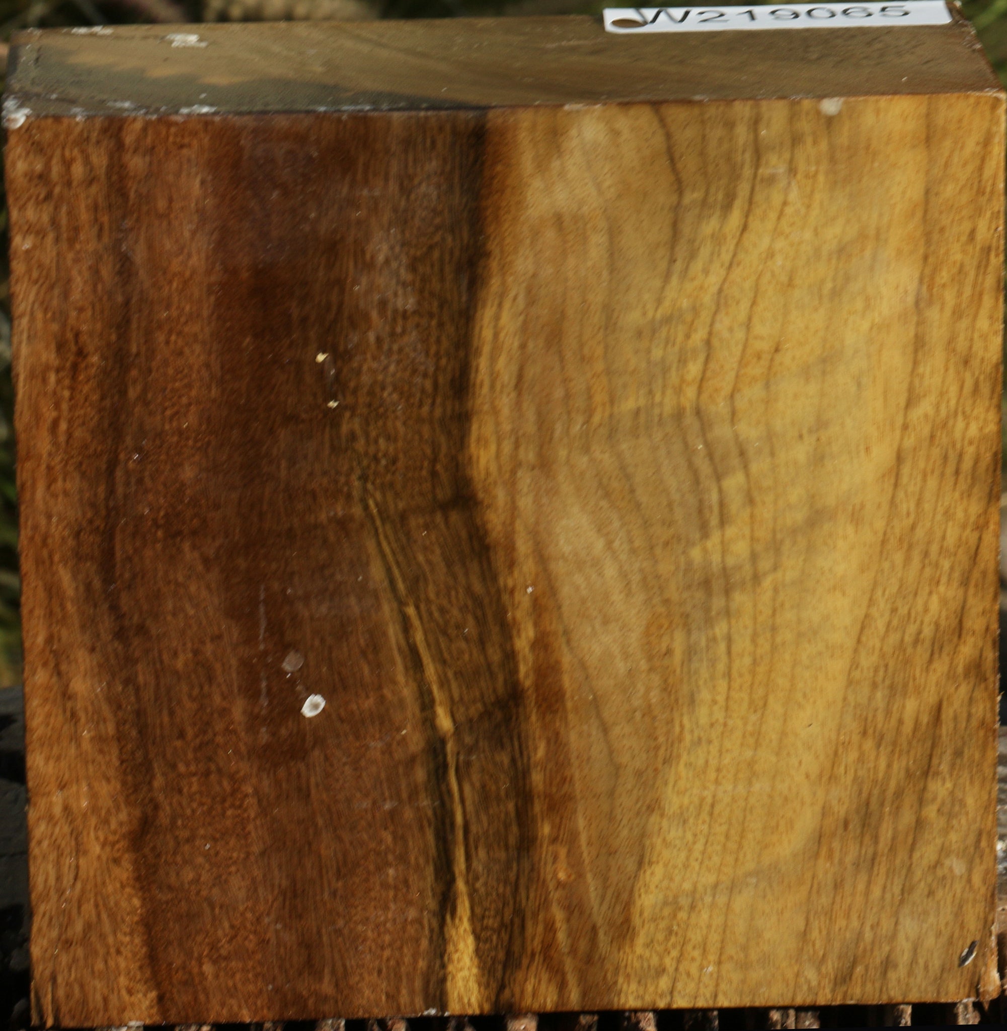 219065_1_53c3d96e-e85b-4fc1-a504-c31f0c601a65 14794440442227