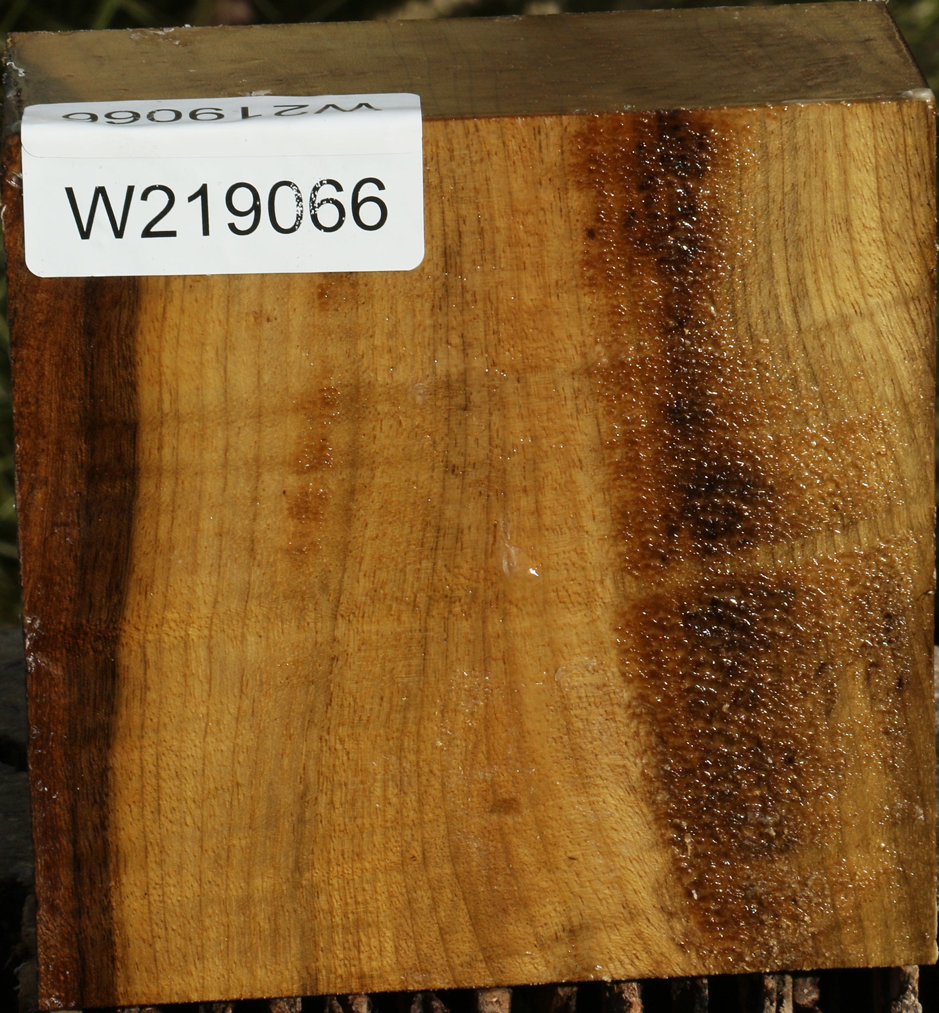 219066_1_30c336aa-276f-44b6-a89a-43eca21e3a50 14794440474995