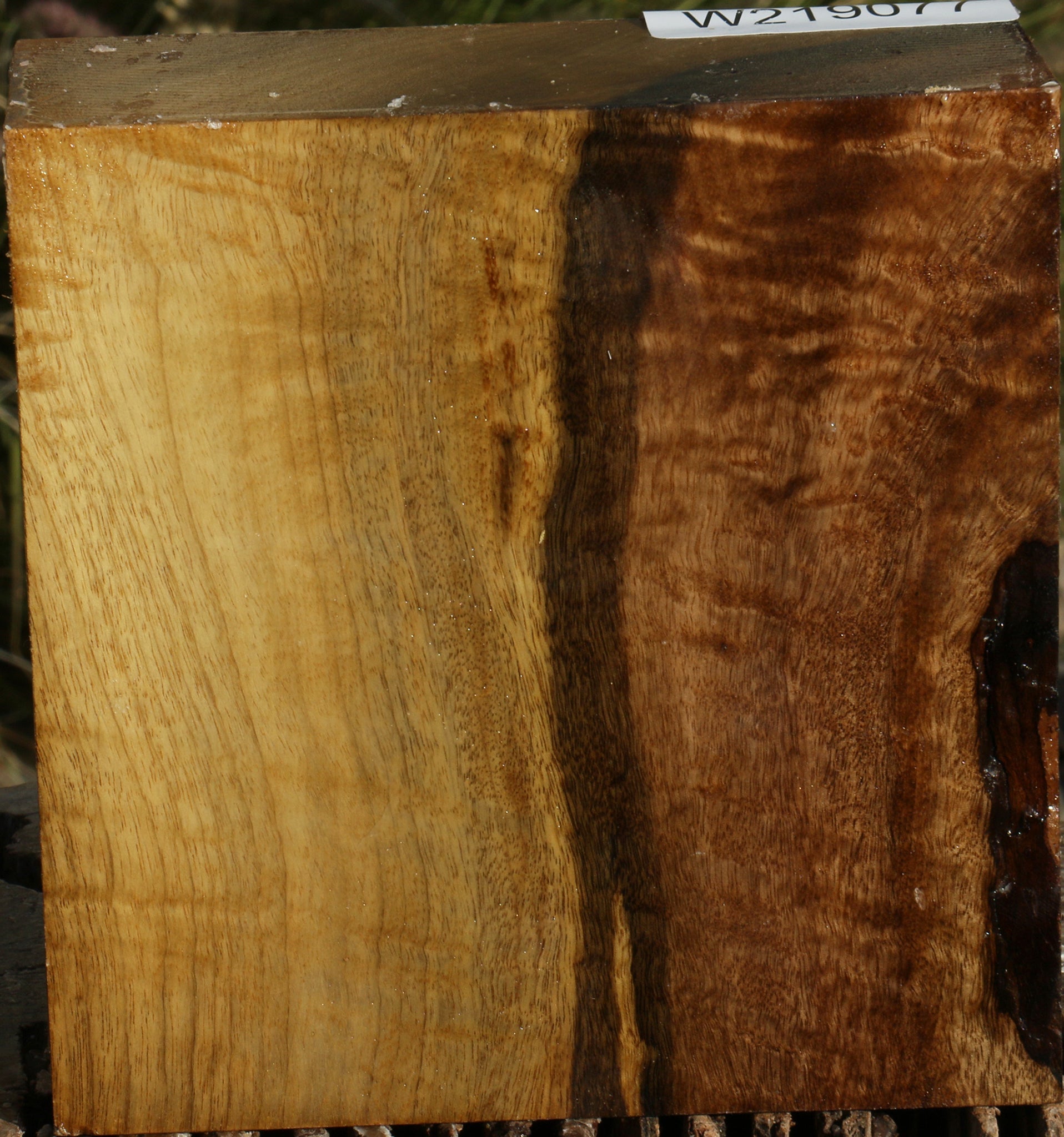 219077_1_94f403fe-5ffc-41ba-b25a-7898cbc76211 14794440933747