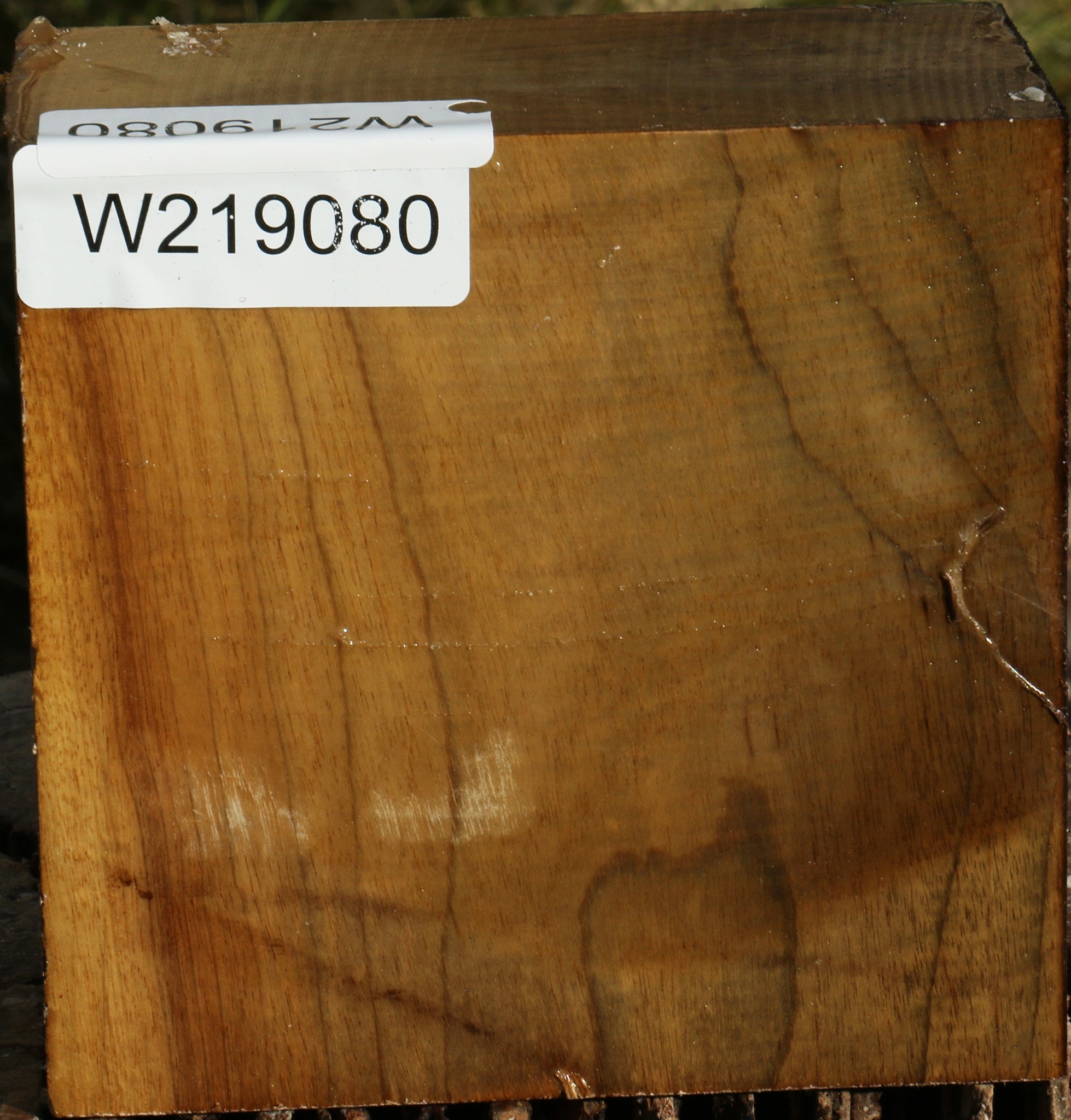 219080_1_28ee6f12-cbbb-4493-bcf7-c2623893299e 14794441032051