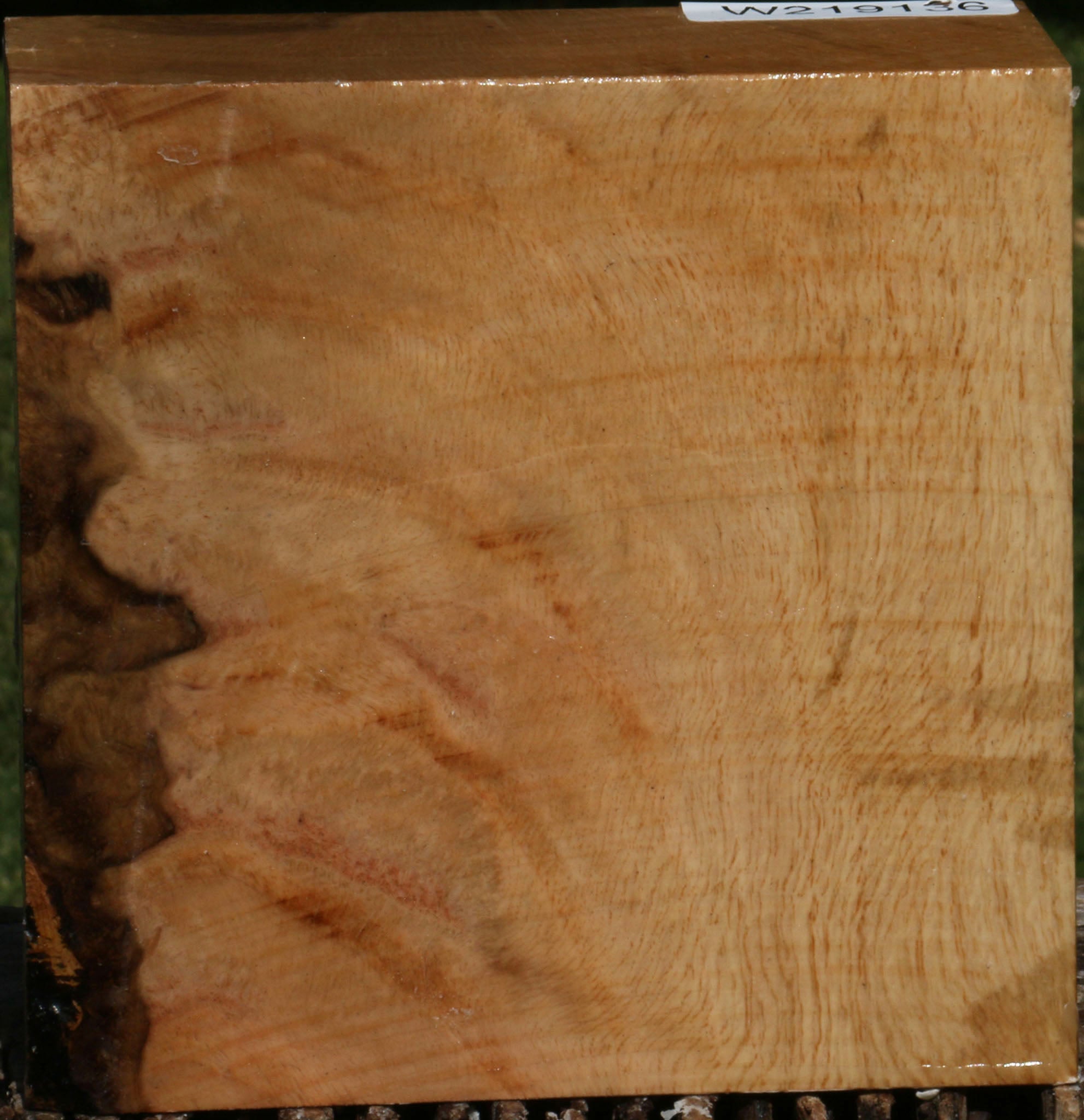 219136_1_014dff5d-ca95-4b0a-90d0-9dbb4657bbee 14622503829875