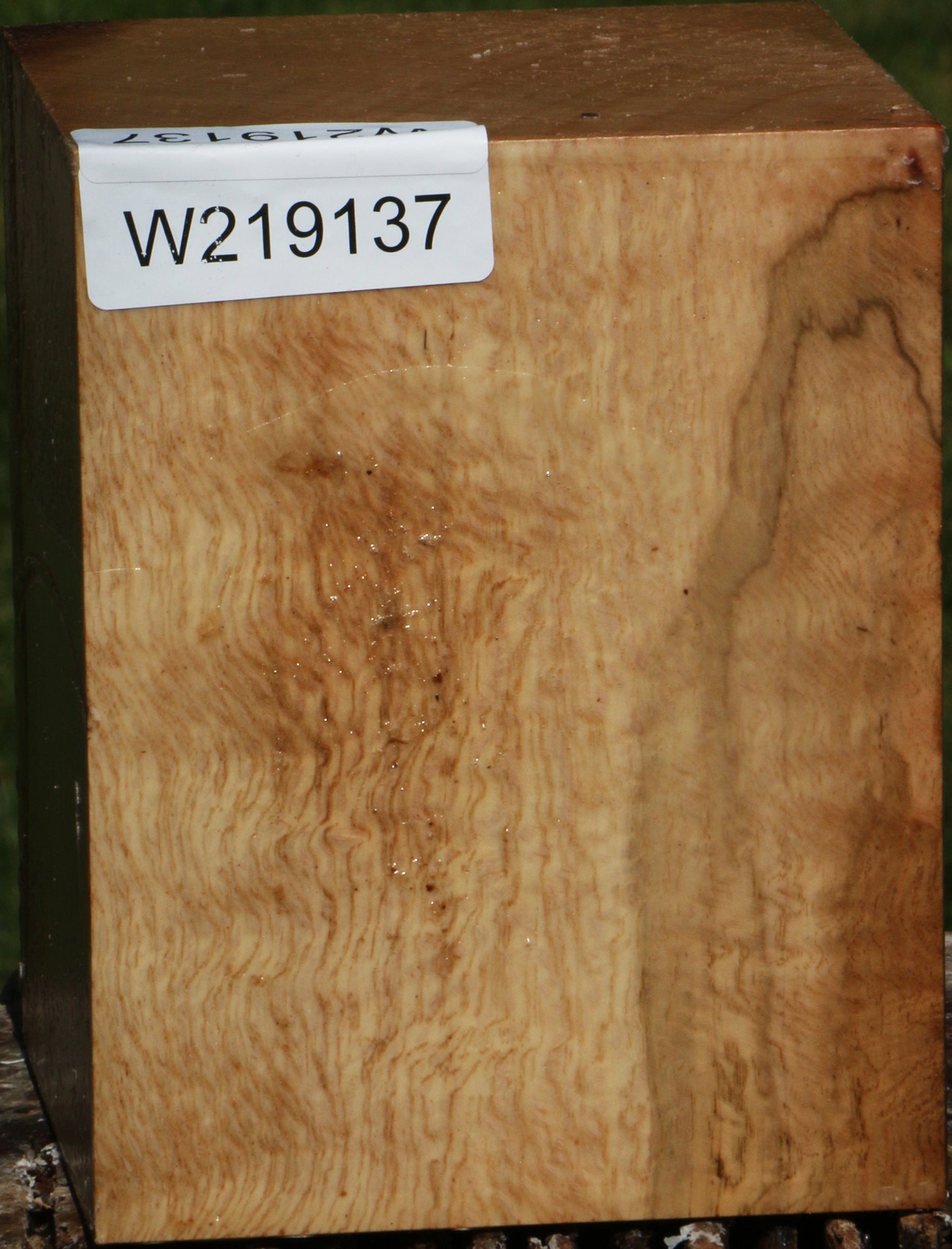 219137_1_2ea533e0-76fd-4781-b412-73ffa29a111f 14622503895411