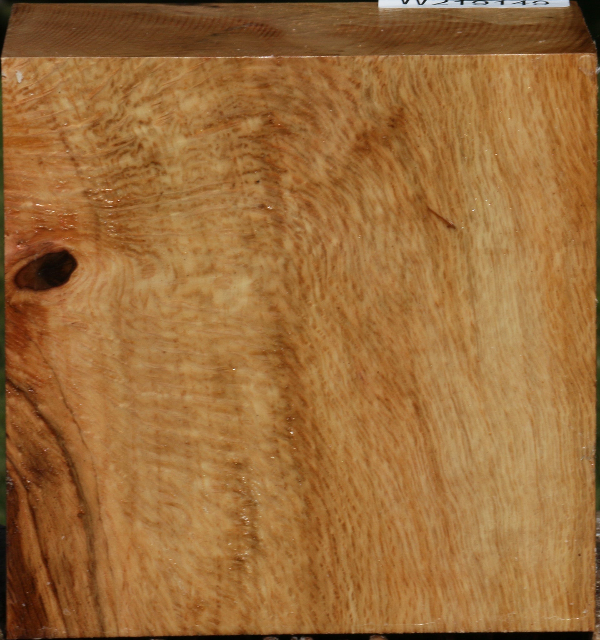 219149_1_0f3f3f7e-8a3a-4548-ace1-7169344349ef 14622504878451