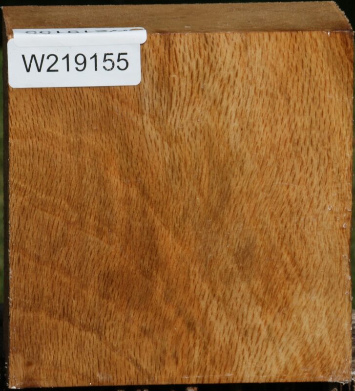 14622505369971