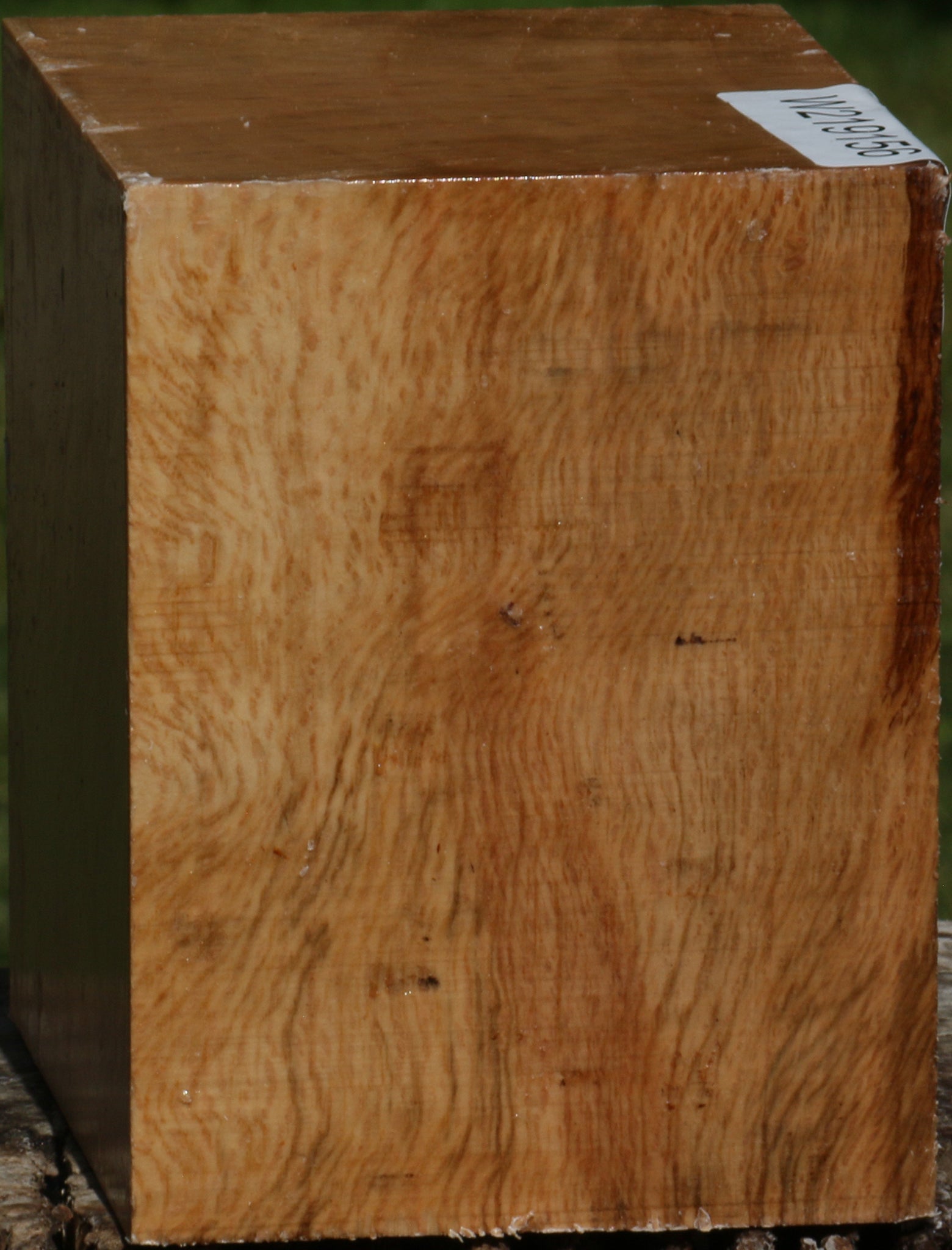 219156_1_1a16395f-a54b-4588-83a2-a90819310261 14622505435507