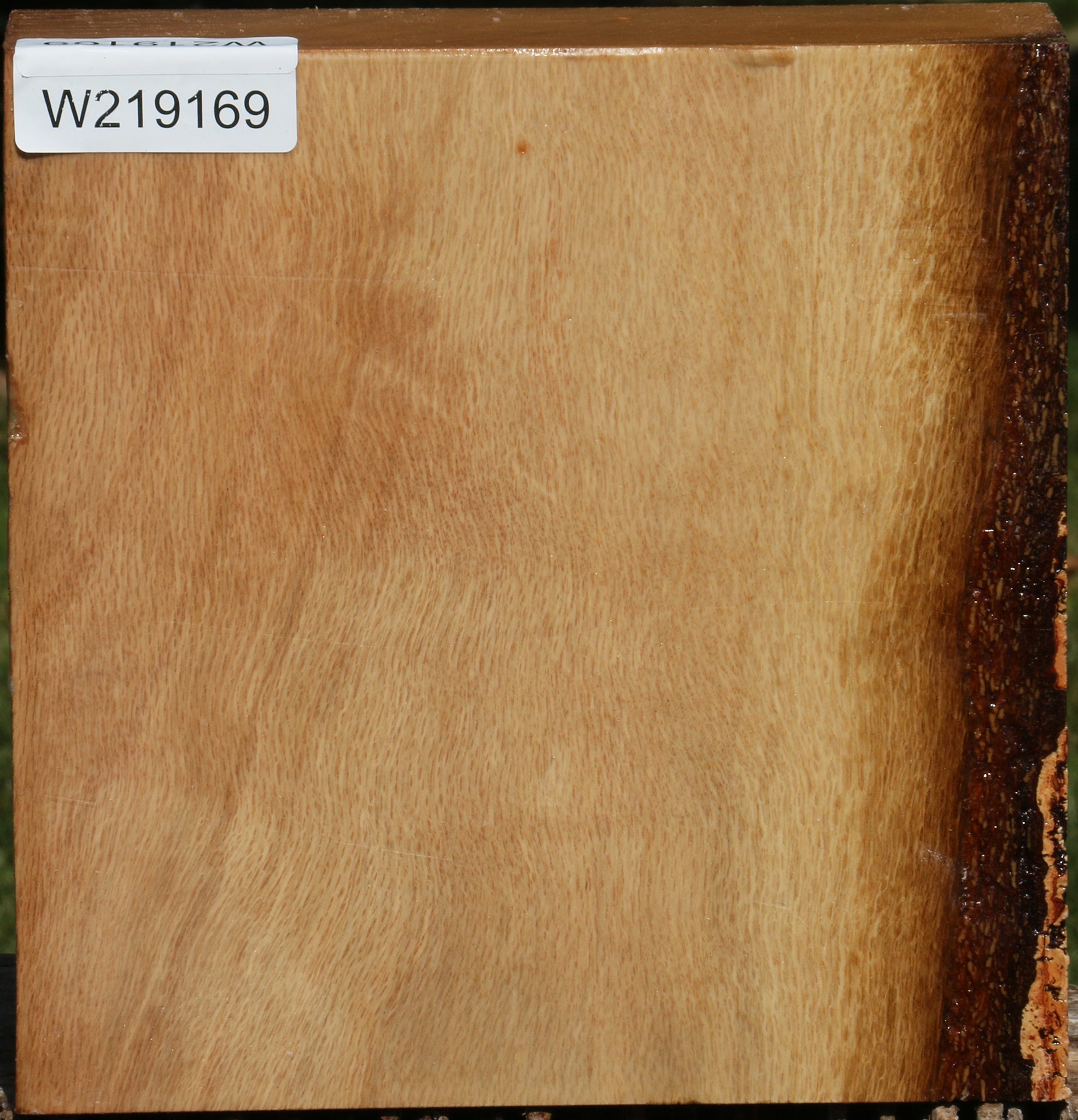 219169_1_58cd7d02-858c-4ac3-a88d-ee6777a0161d 14622506418547