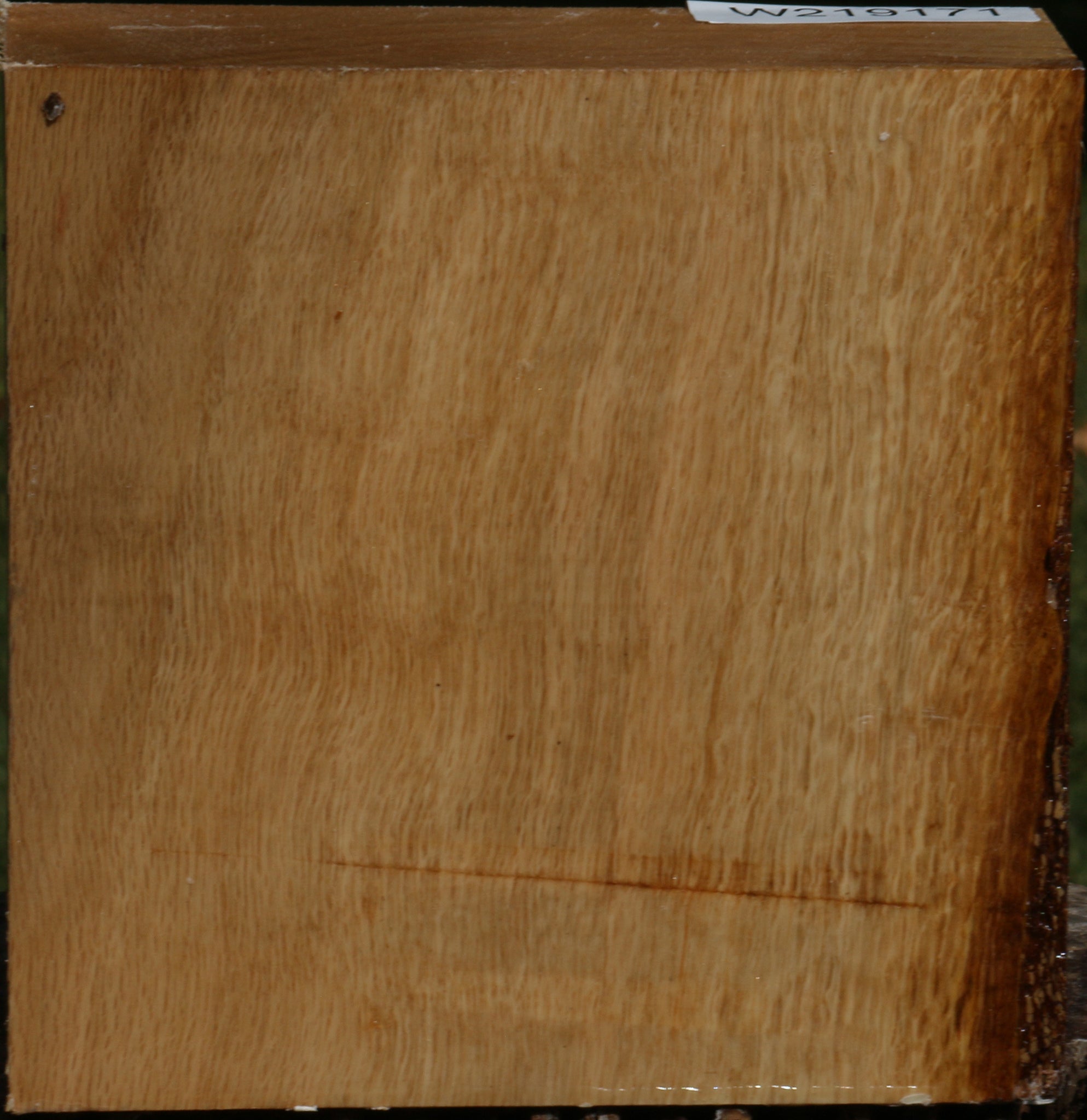 219171_1_575ba5eb-31e3-4e29-9188-2963a4ecf074 14622506549619