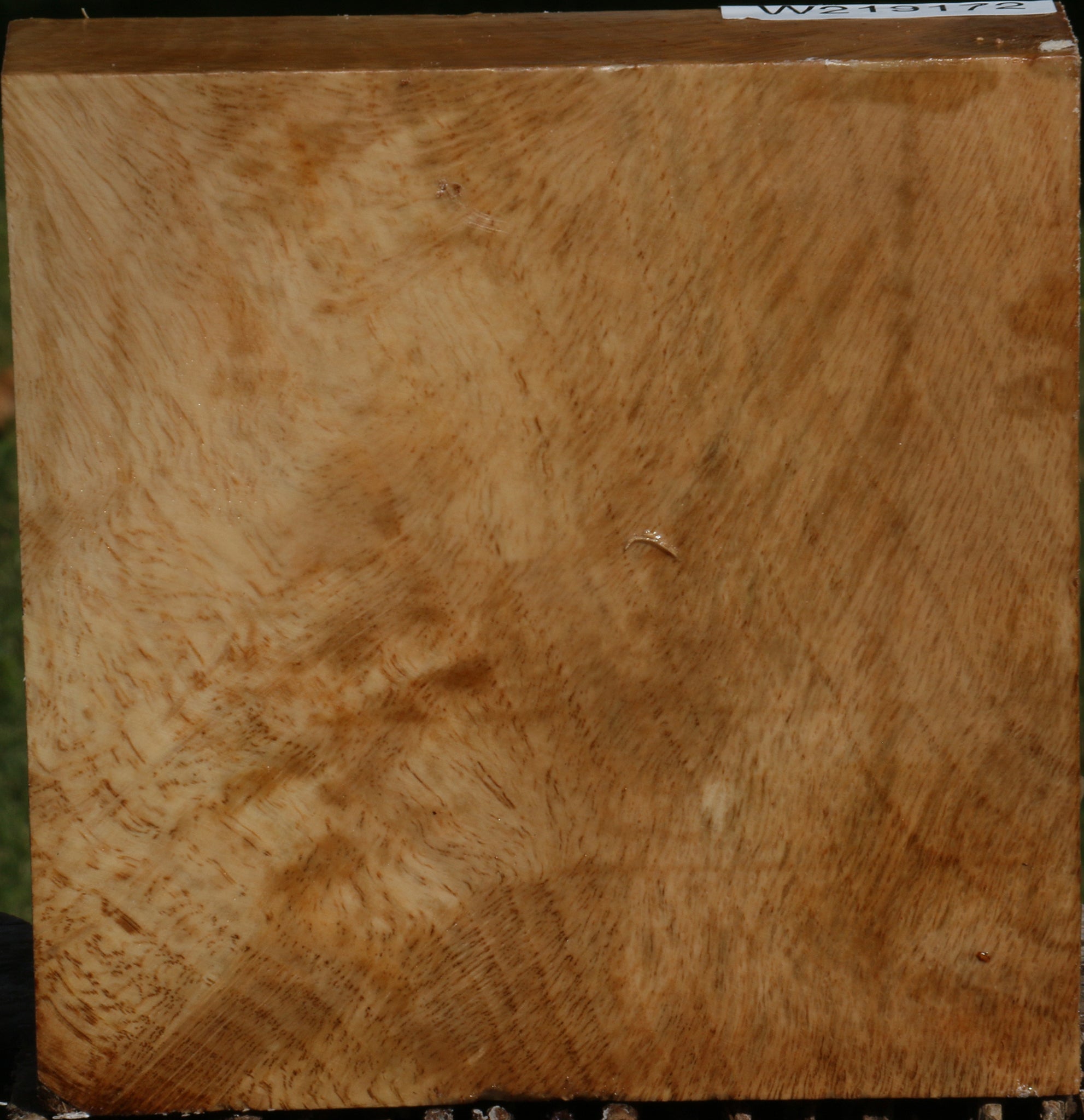 219172_1_c2c3e00a-cb50-4925-bcb1-5594a77dd563 14622506615155