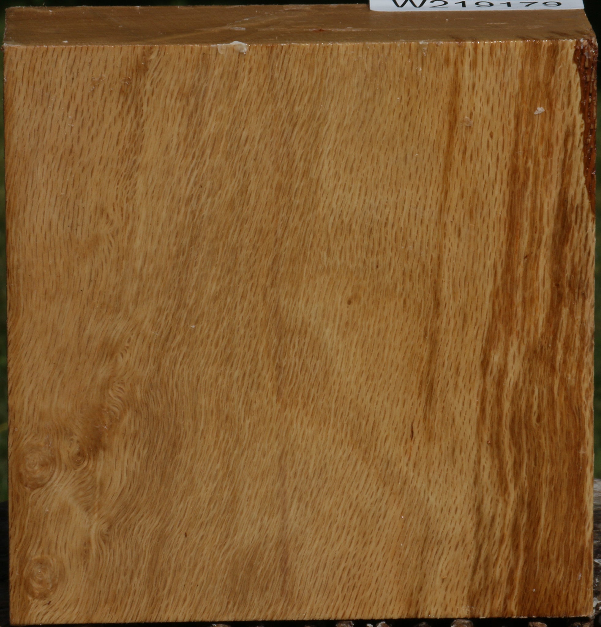 219179_1_3e0e062d-60cb-467c-8f62-419bd74f5519 14622507073907